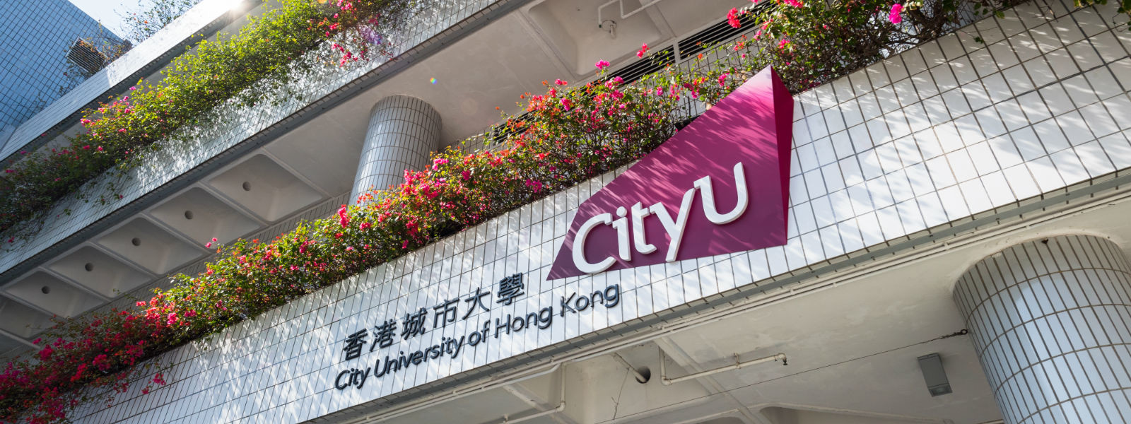 香港城市大學 Hik 合作項目